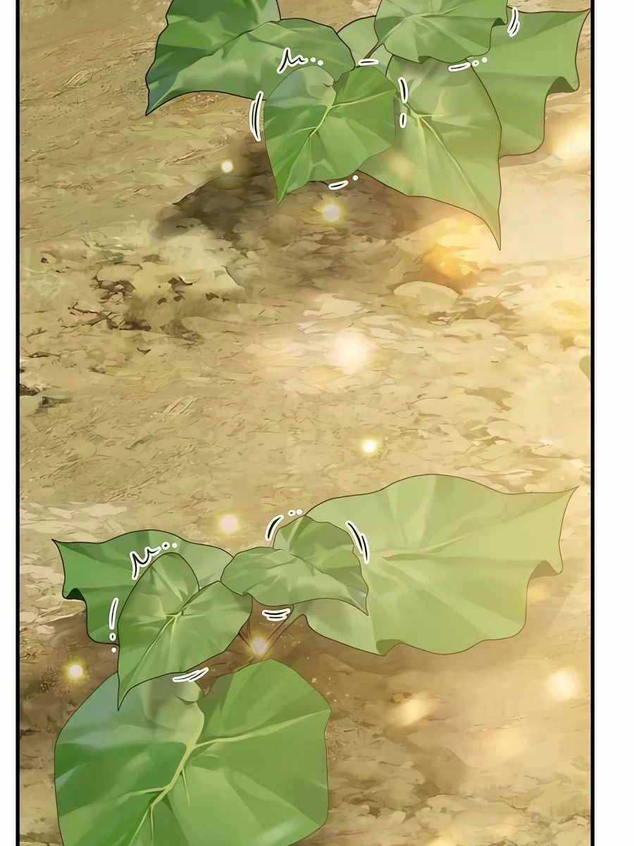 Làm Nông Dân Trong Tòa Tháp Thử Thách Chương 52 trang 128