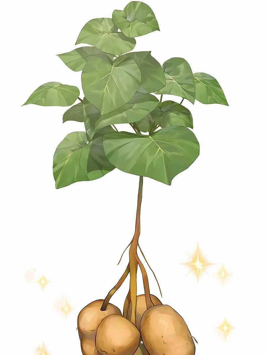 Làm Nông Dân Trong Tòa Tháp Thử Thách Chương 52 trang 181