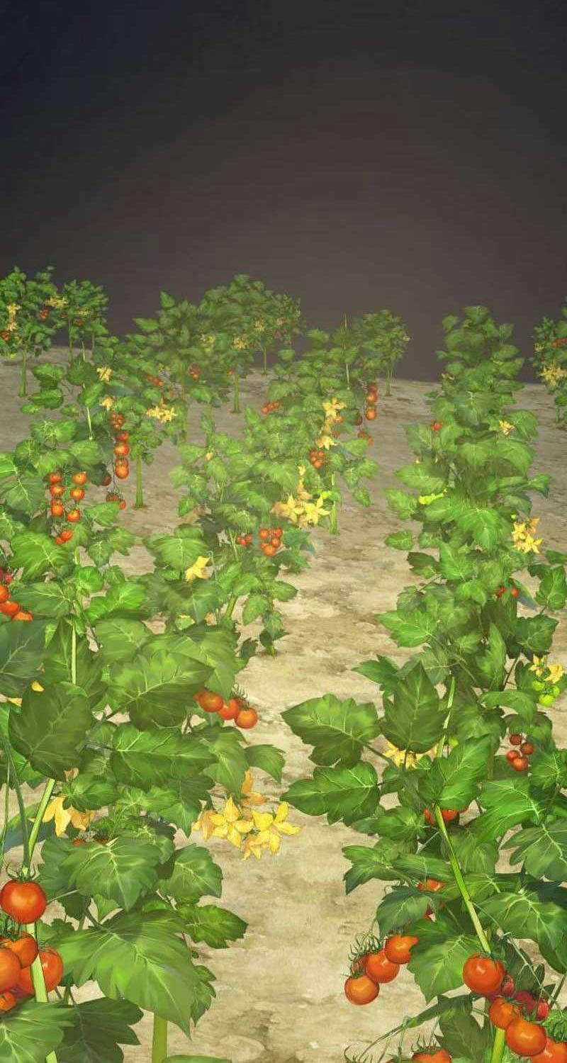 Làm Nông Dân Trong Tòa Tháp Thử Thách Chương 72 trang 116