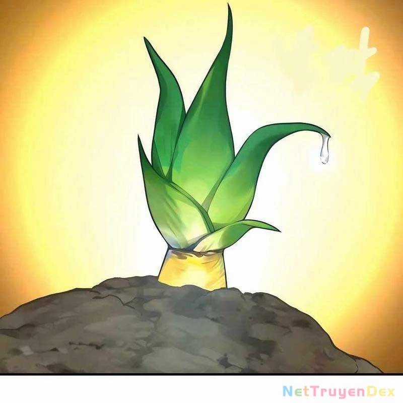 Làm Nông Dân Trong Tòa Tháp Thử Thách Chương 91 trang 209