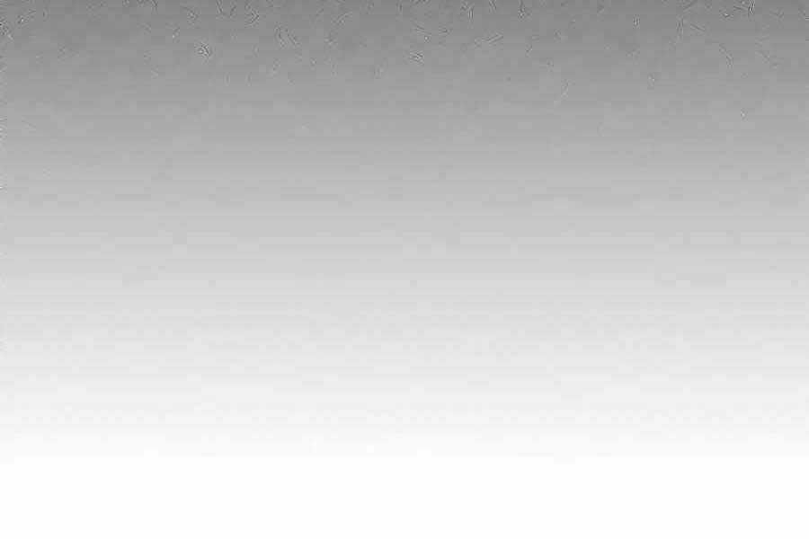 Làm Sao Sống Như Một Trị Liệu Sư Ngầm? Chapter 2 trang 64