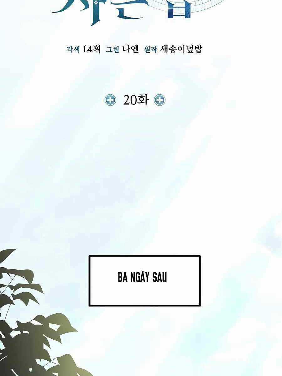 Làm Sao Sống Như Một Trị Liệu Sư Ngầm? Chapter 20 trang 25