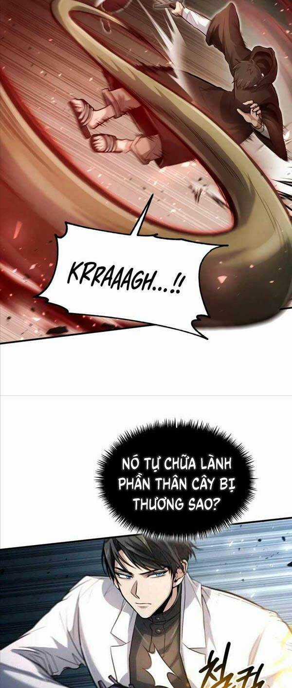 Làm Sao Sống Như Một Trị Liệu Sư Ngầm? Chapter 28 trang 25