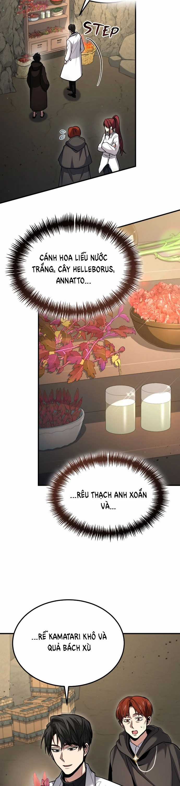 Làm Sao Sống Như Một Trị Liệu Sư Ngầm? Chapter 42 trang 15