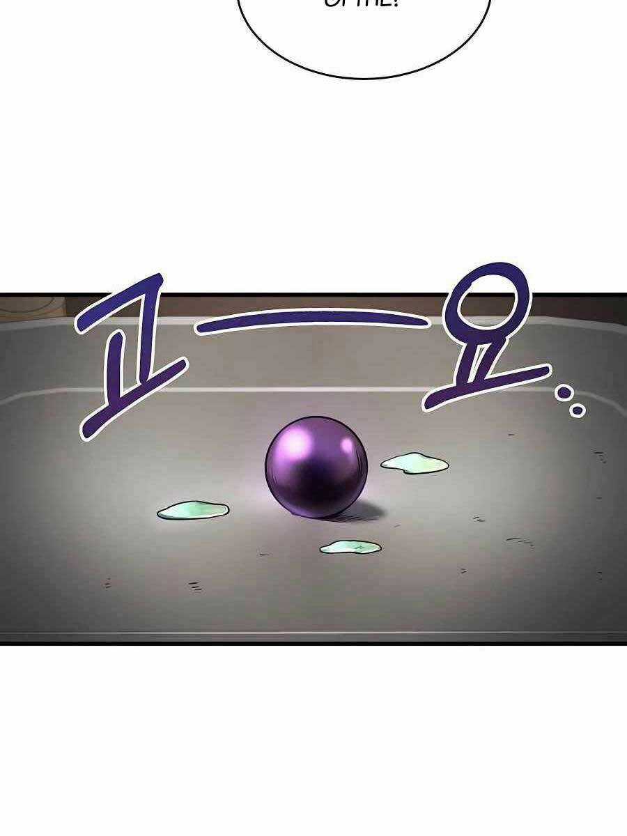 Làm Sao Sống Như Một Trị Liệu Sư Ngầm? Chapter 5 trang 77