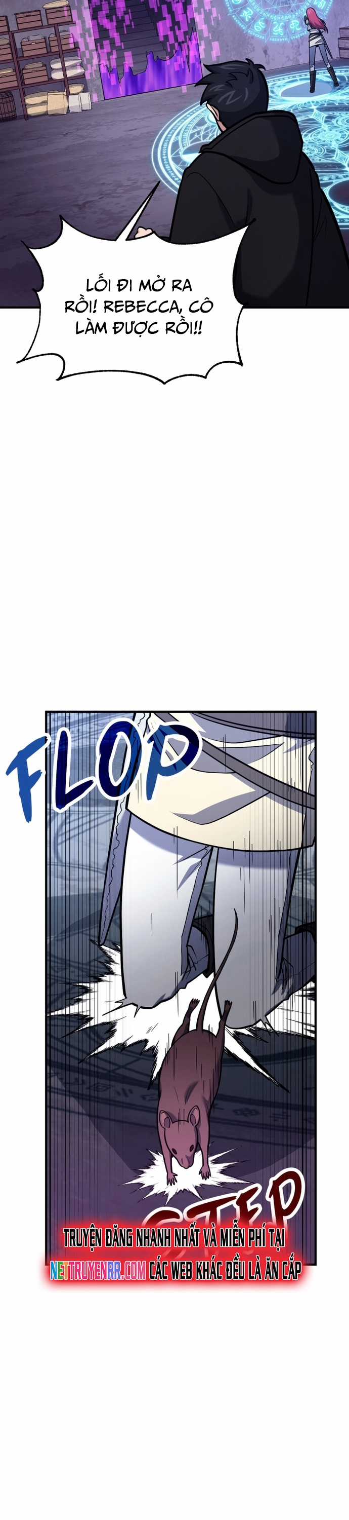 Làm Sao Sống Như Một Trị Liệu Sư Ngầm? Chapter 67 trang 17