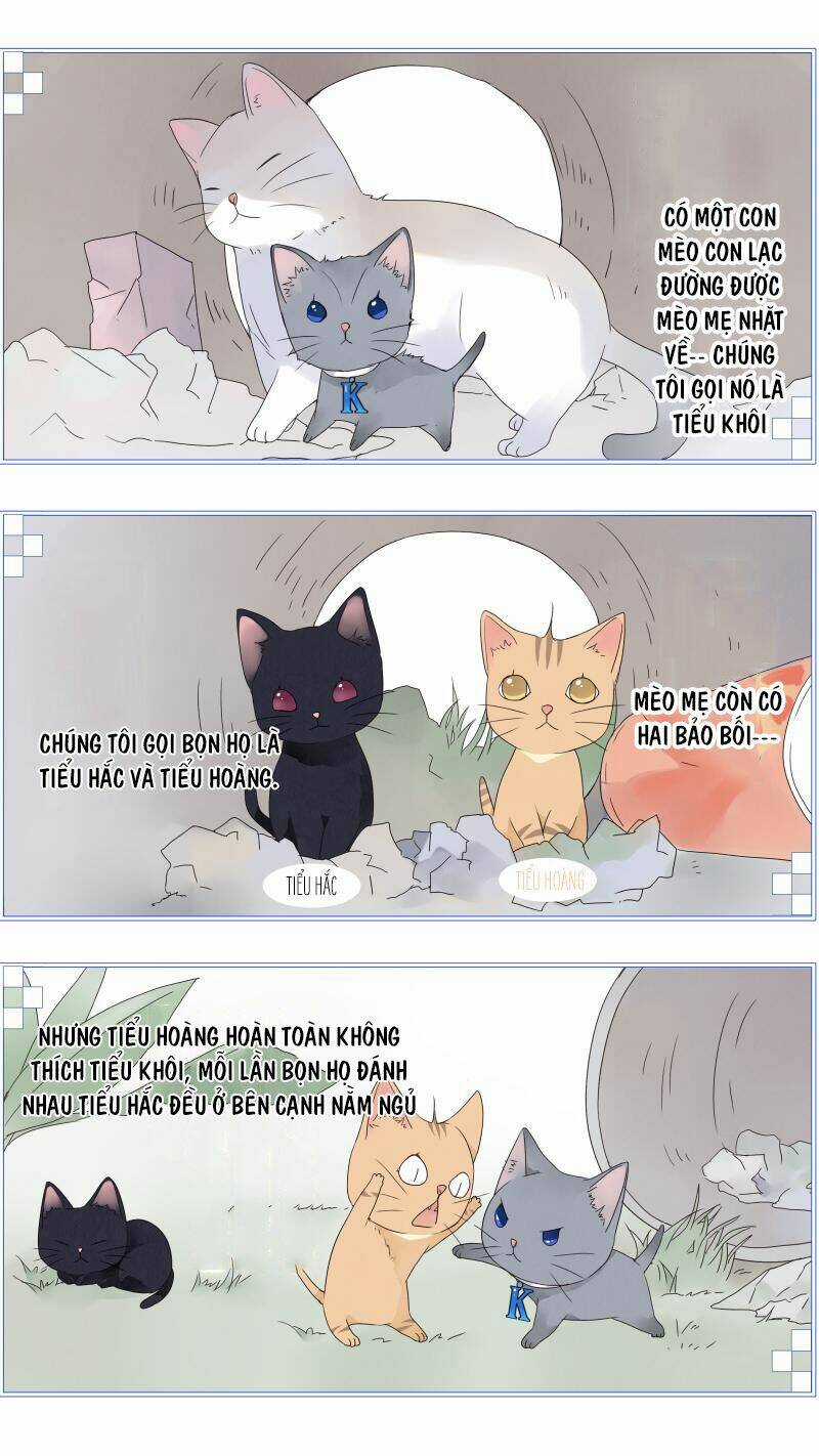 Lam Sí Chapter 196 trang 1