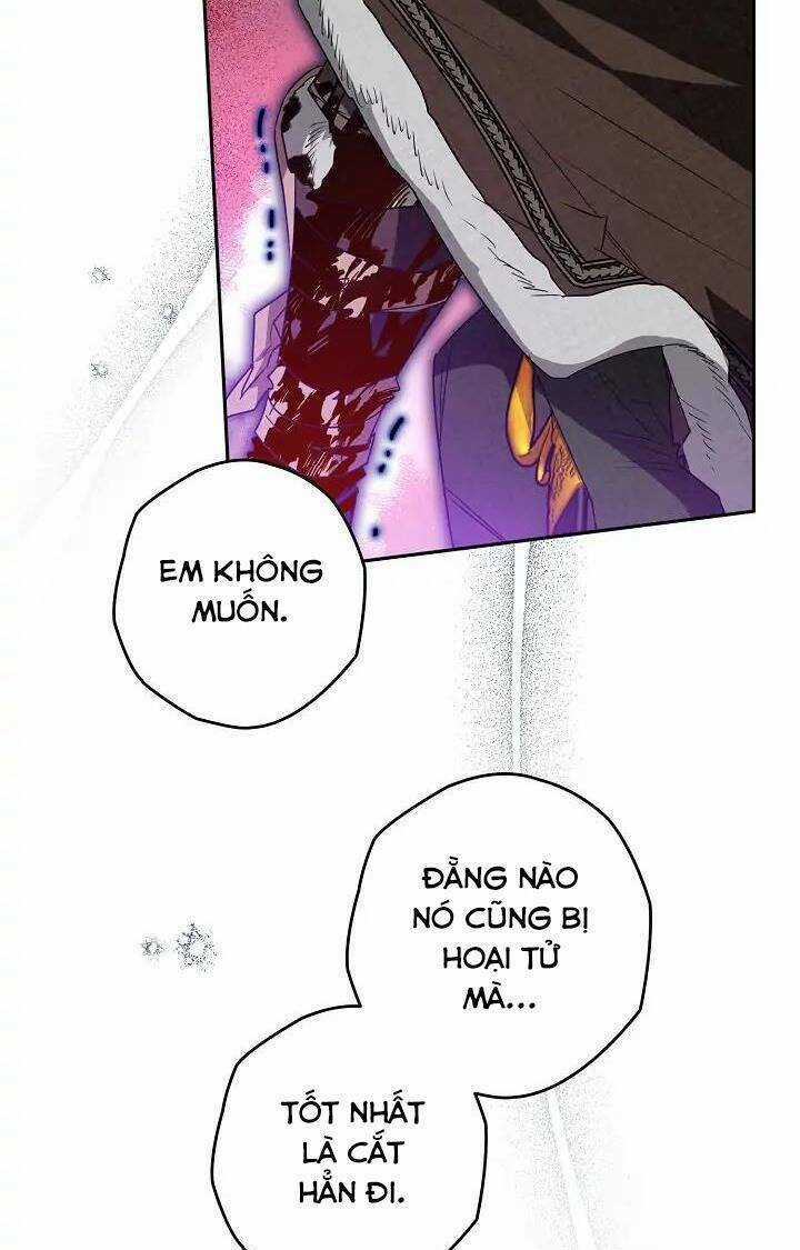 Lần Này Tôi Sẽ Yêu Thương Bản Thân Hơn Chapter 63 trang 66