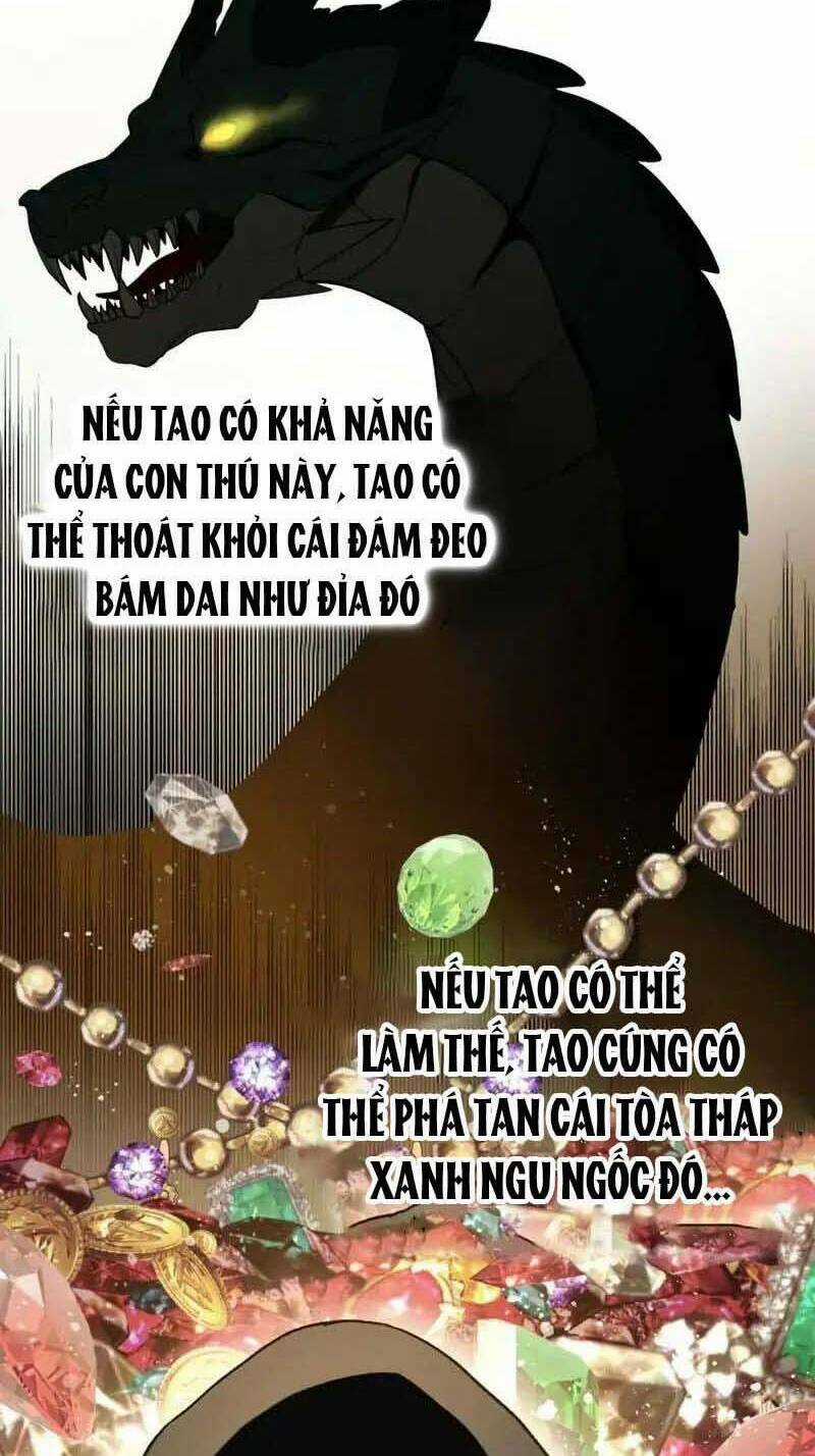 Lần Nữa Chuyển Sinh Sang Thế Giới Khác Chapter 17 trang 5