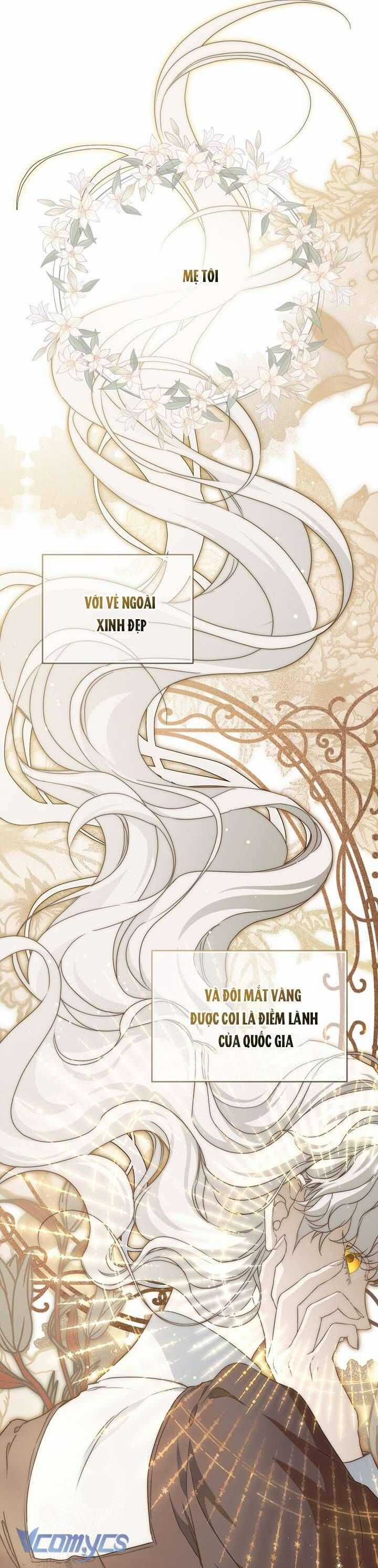 Lần Nữa Toả Sáng Chương 111 trang 24