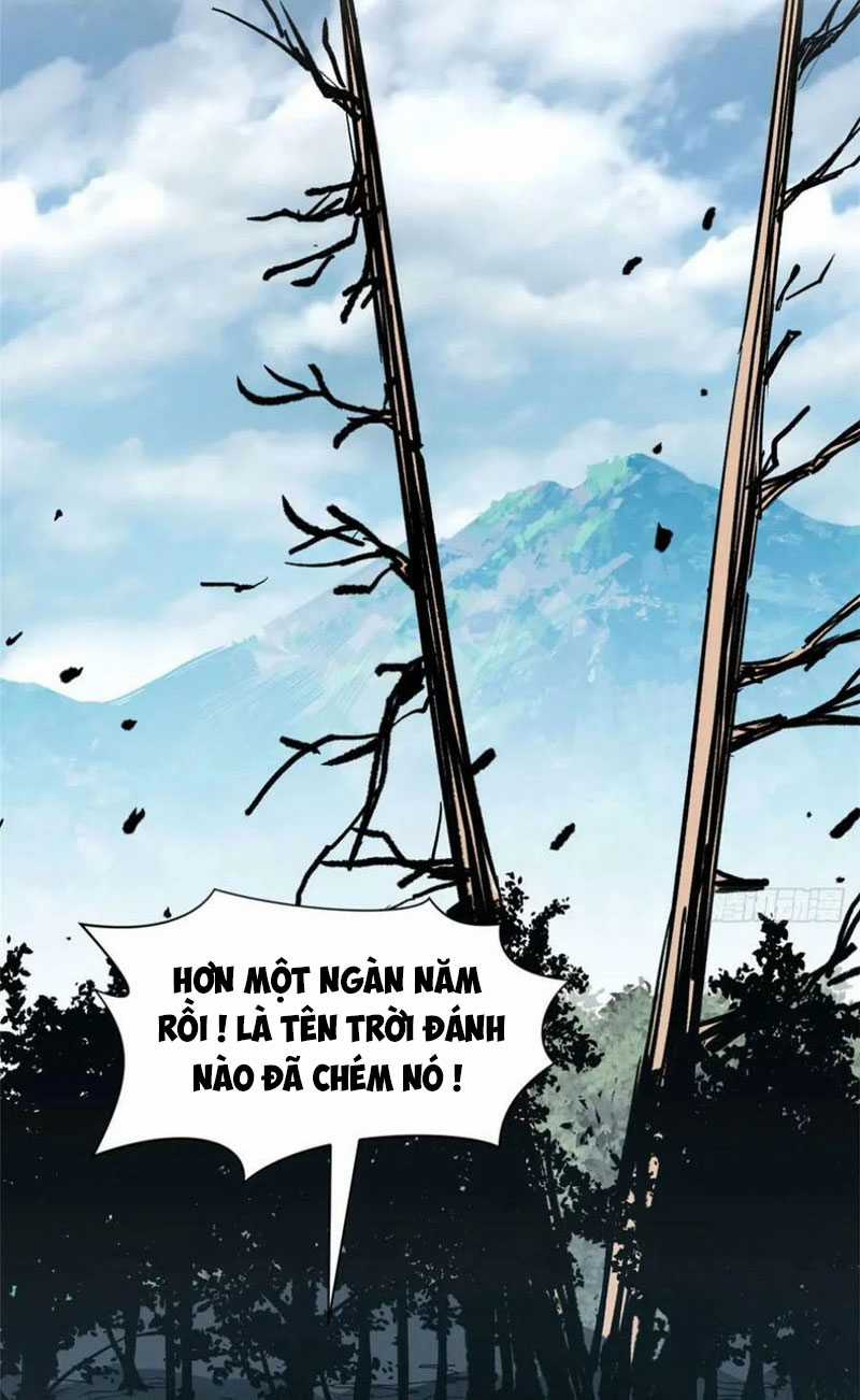 Lặng Lẽ Tu Luyện Ngàn Năm Với Đỉnh Cấp Khí Vận Chapter 78 trang 11