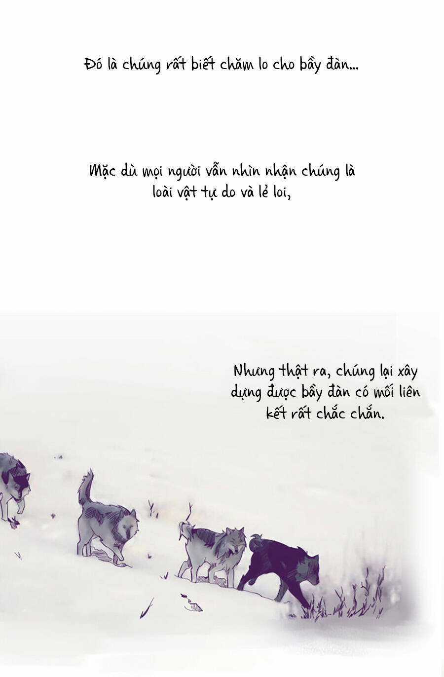 Lang Thành Chapter 11 trang 24