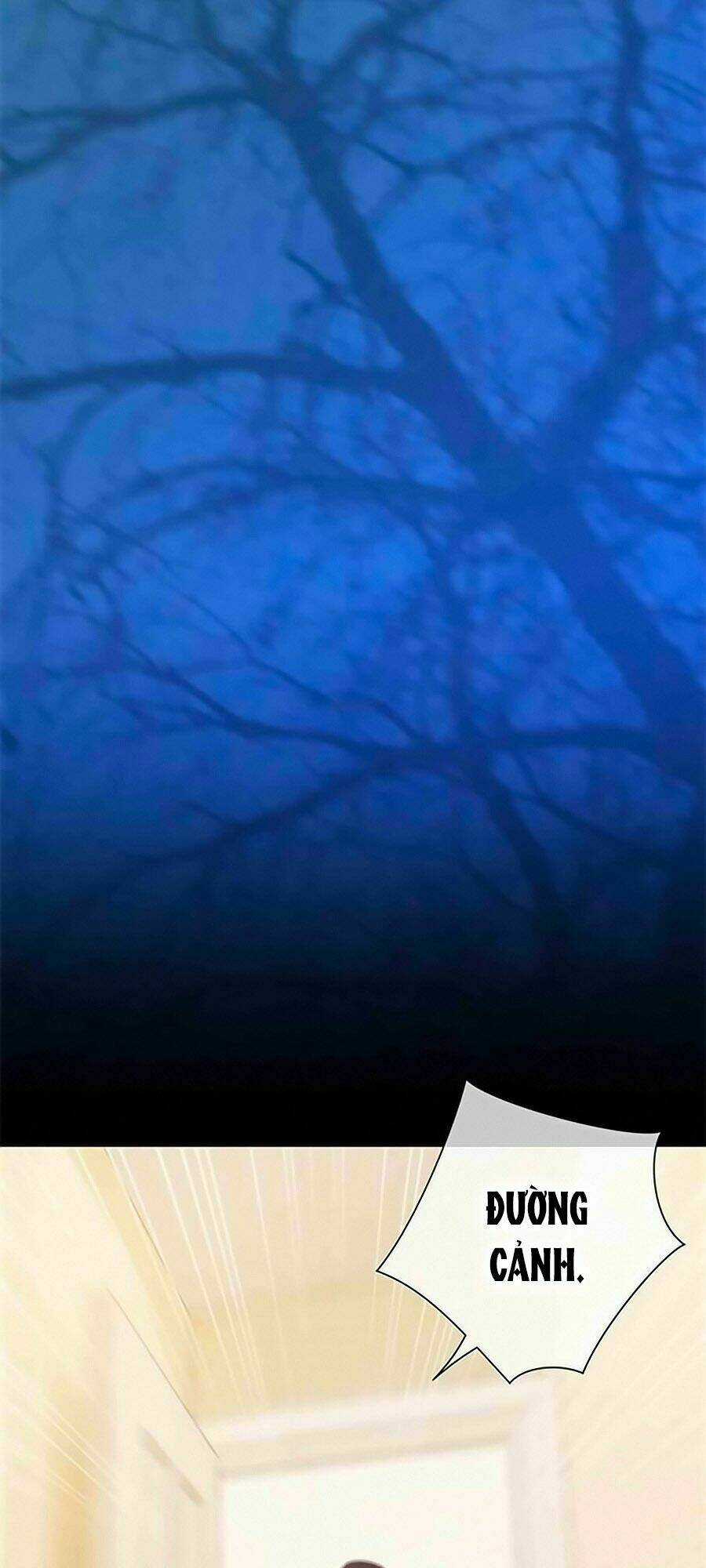 Lãnh Huyết Tổng Tài Đích Tâm Kiên Thê Chapter 62 trang 31