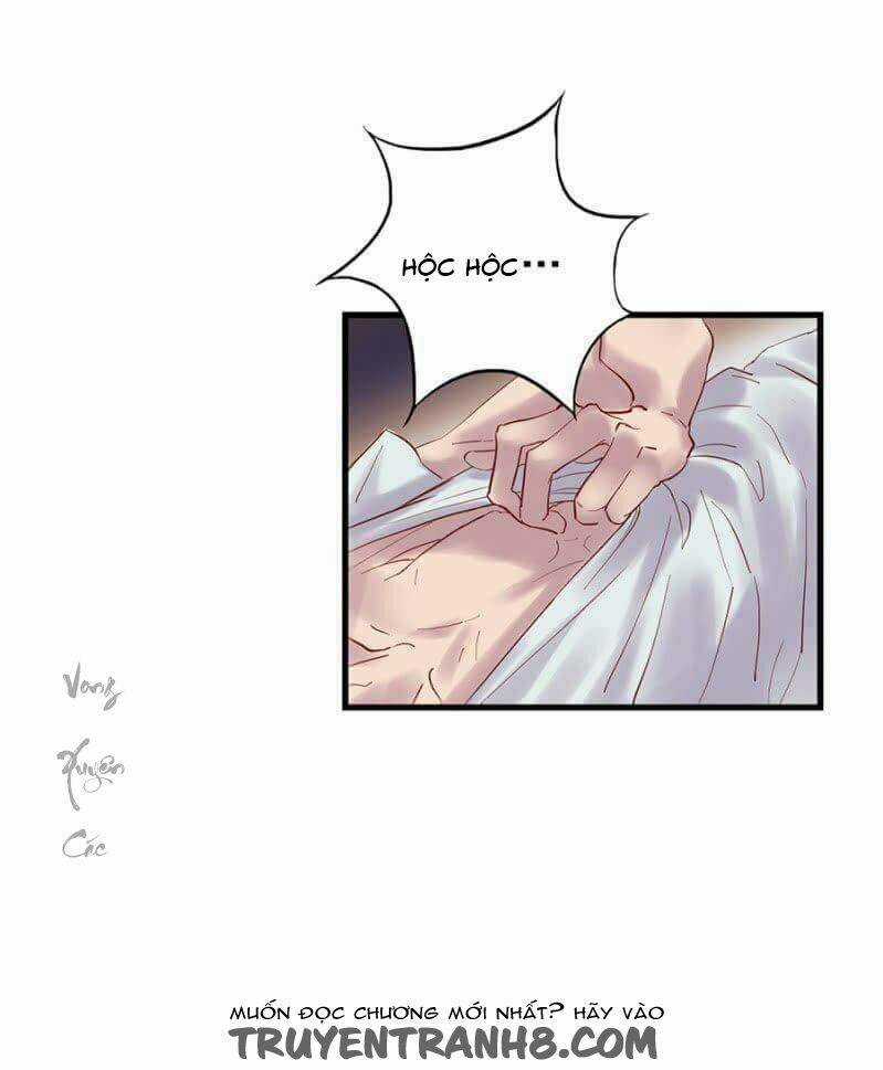 Lãnh Tình Boss Xin Buông Tay Em Chapter 1 trang 13