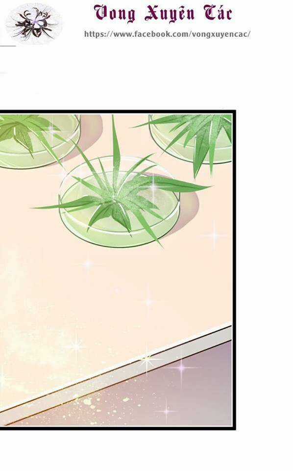 Lãnh Tình Boss Xin Buông Tay Em Chapter 11 trang 8