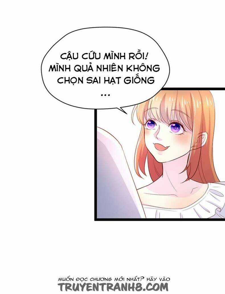 Lãnh Tình Boss Xin Buông Tay Em Chapter 12 trang 11