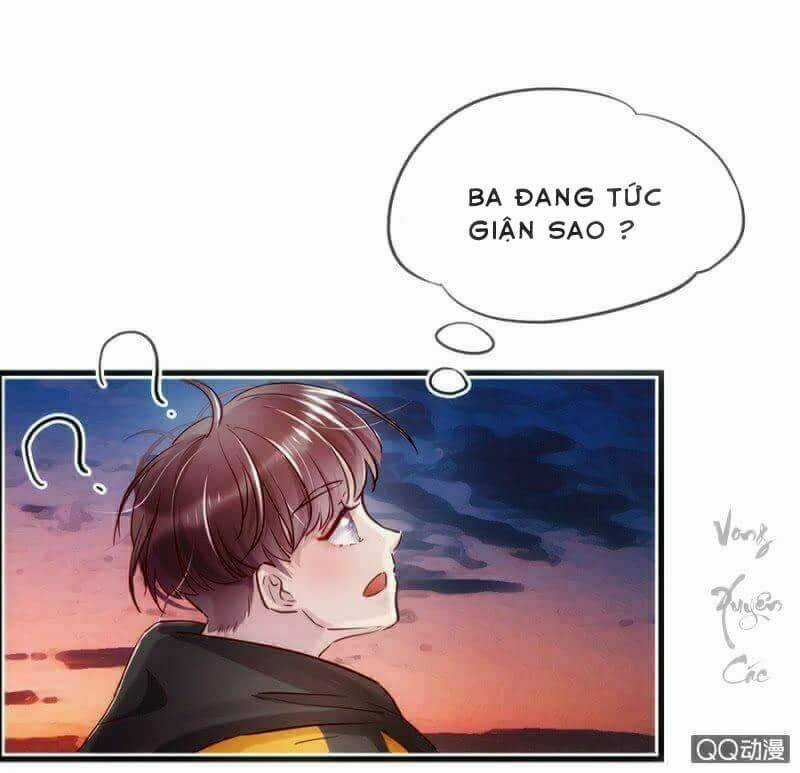 Lãnh Tình Boss Xin Buông Tay Em Chapter 5 trang 7