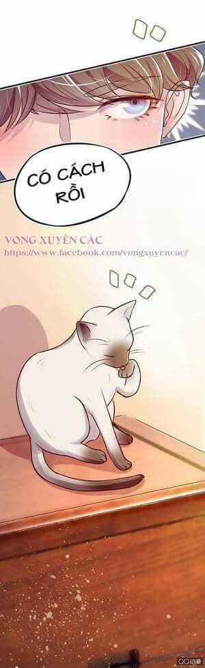 Lãnh Tình Boss Xin Buông Tay Em Chapter 7 trang 15