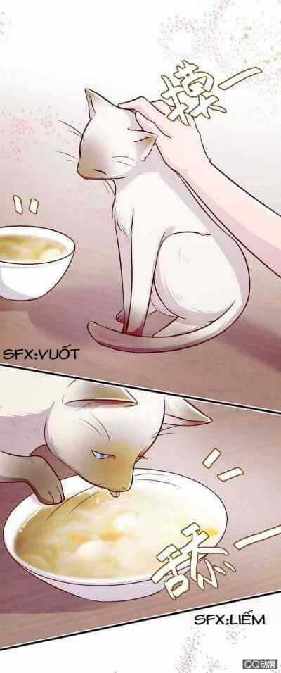 Lãnh Tình Boss Xin Buông Tay Em Chapter 7 trang 17