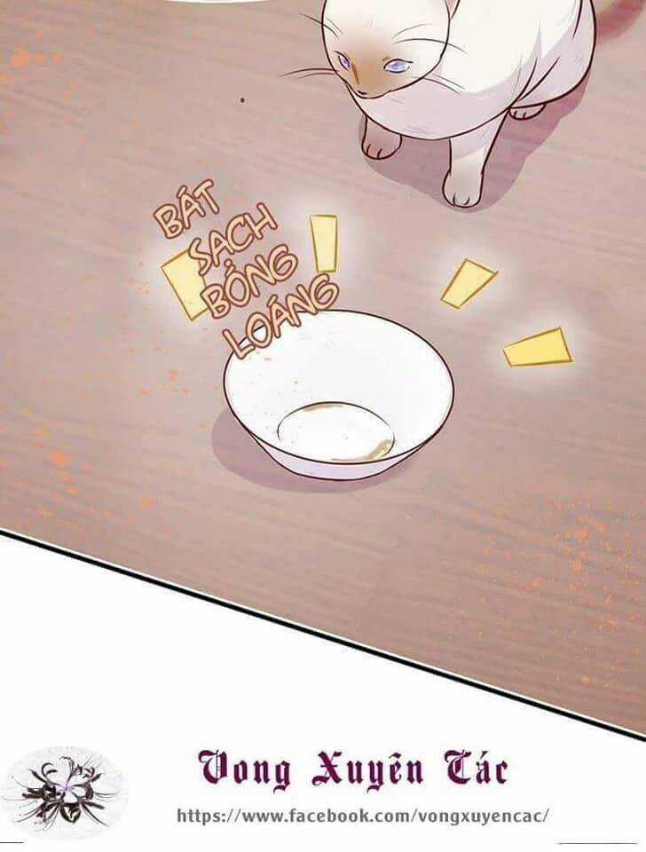 Lãnh Tình Boss Xin Buông Tay Em Chapter 7 trang 19