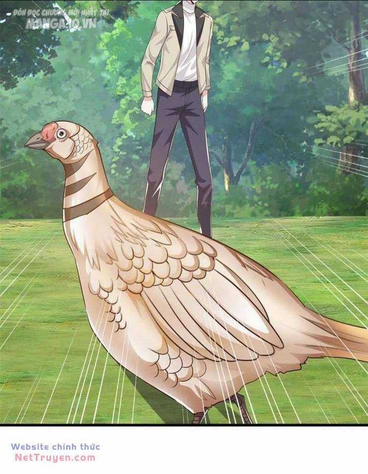 Lão Ba Cho Tôi Lựa Một Trong Mười Nữ Thần Để Kết Hôn Chapter 42 trang 4