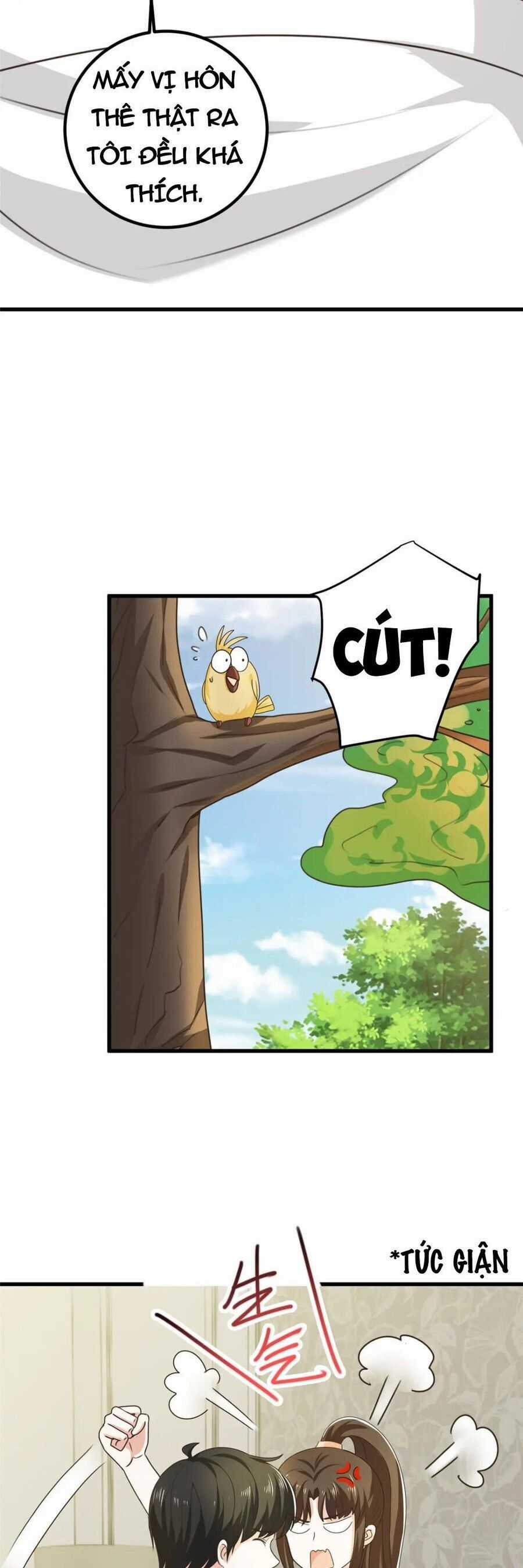 Lão Ba Cho Tôi Lựa Một Trong Mười Nữ Thần Để Kết Hôn Chapter 60 trang 12