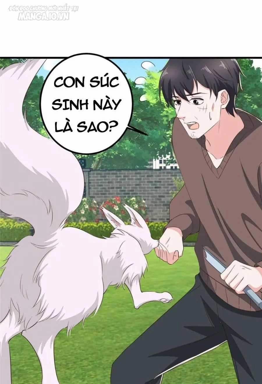 Lão Ba Cho Tôi Lựa Một Trong Mười Nữ Thần Để Kết Hôn Chapter 84 trang 2