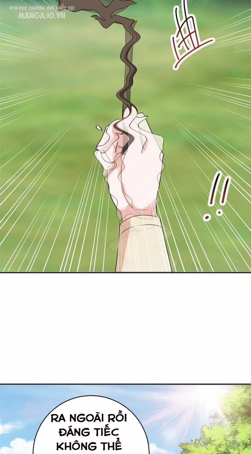 Lão Ba Cho Tôi Lựa Một Trong Mười Nữ Thần Để Kết Hôn Chapter 94 trang 12