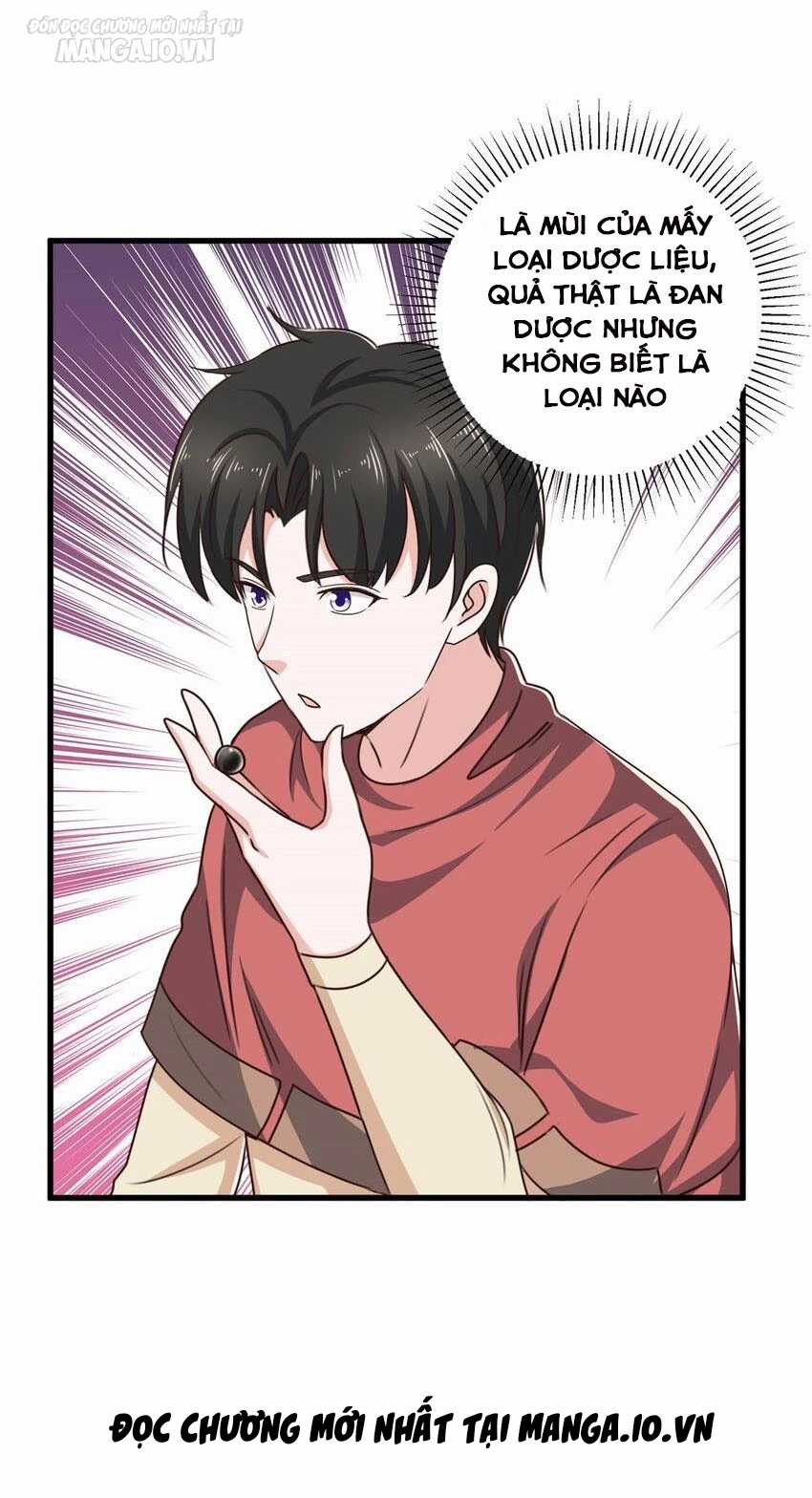 Lão Ba Cho Tôi Lựa Một Trong Mười Nữ Thần Để Kết Hôn Chapter 96 trang 11