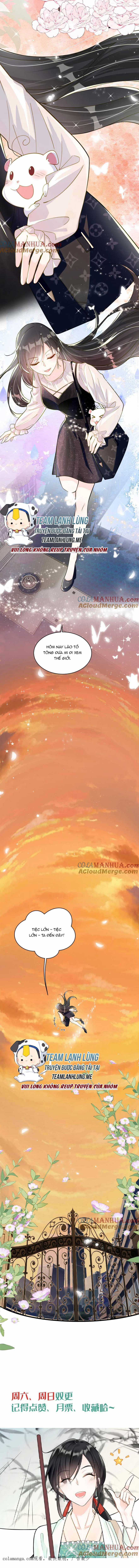 LÃO TỔ TÔNG CỦA TA VỪA XINH VỪA GIỎI Chapter 39 trang 5