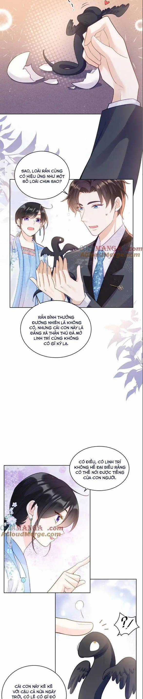 Lão Tổ Tông Vừa Xinh Vừa Ngầu Chapter 113 trang 7