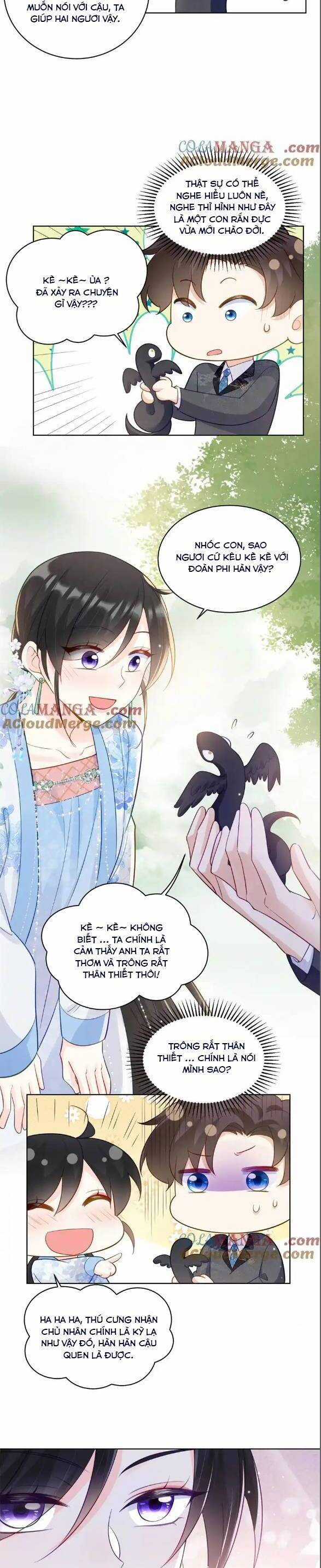 Lão Tổ Tông Vừa Xinh Vừa Ngầu Chapter 113 trang 8