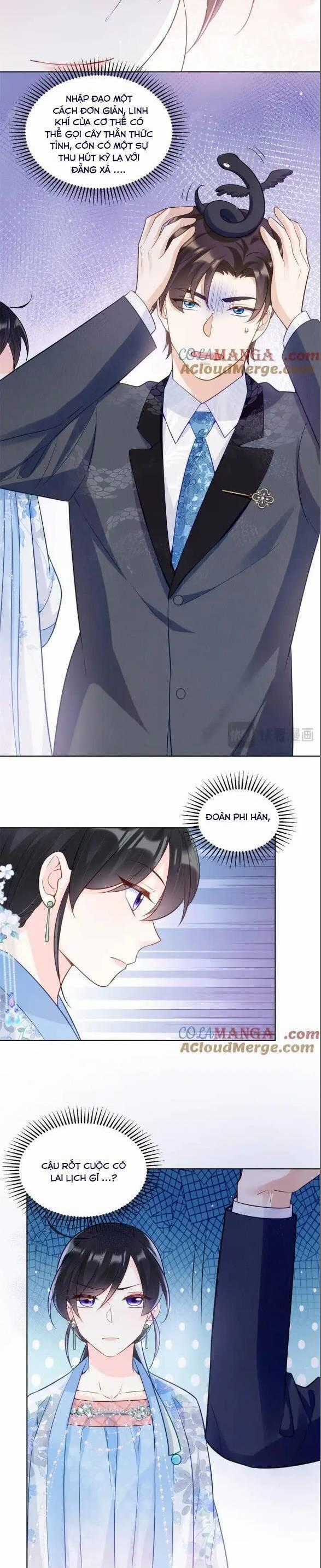 Lão Tổ Tông Vừa Xinh Vừa Ngầu Chapter 113 trang 9