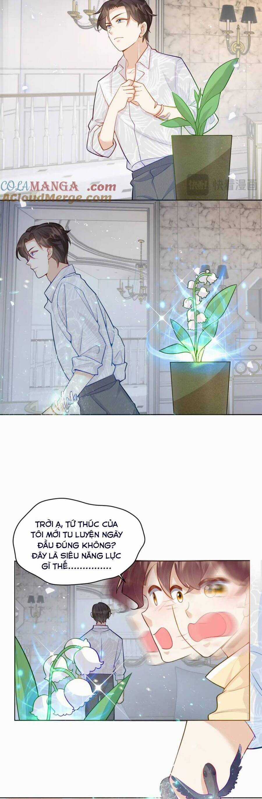 Lão Tổ Tông Vừa Xinh Vừa Ngầu Chapter 114 trang 3