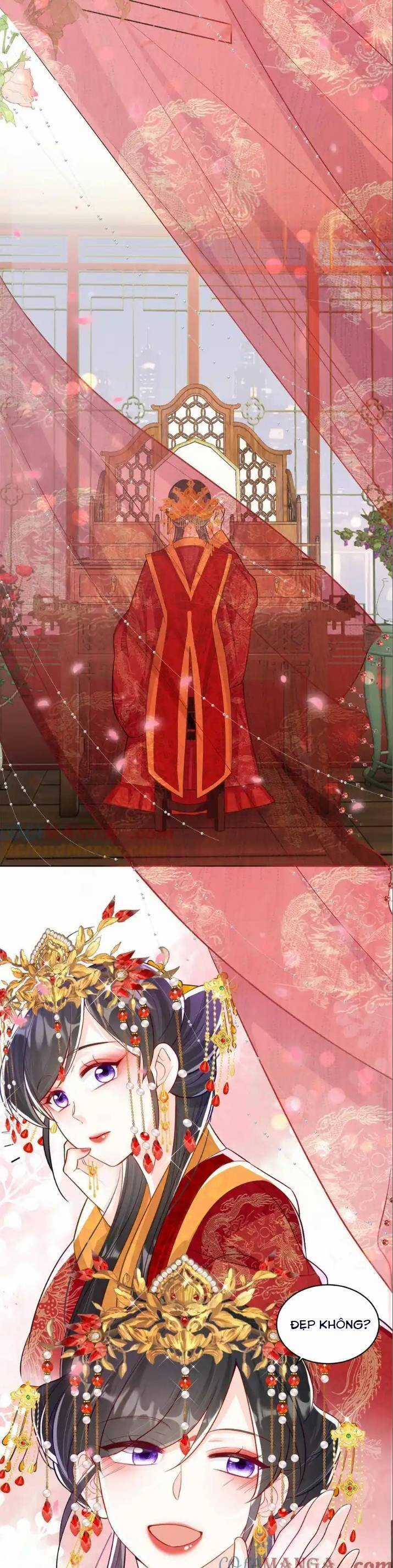 Lão Tổ Tông Vừa Xinh Vừa Ngầu Chapter 119 trang 11