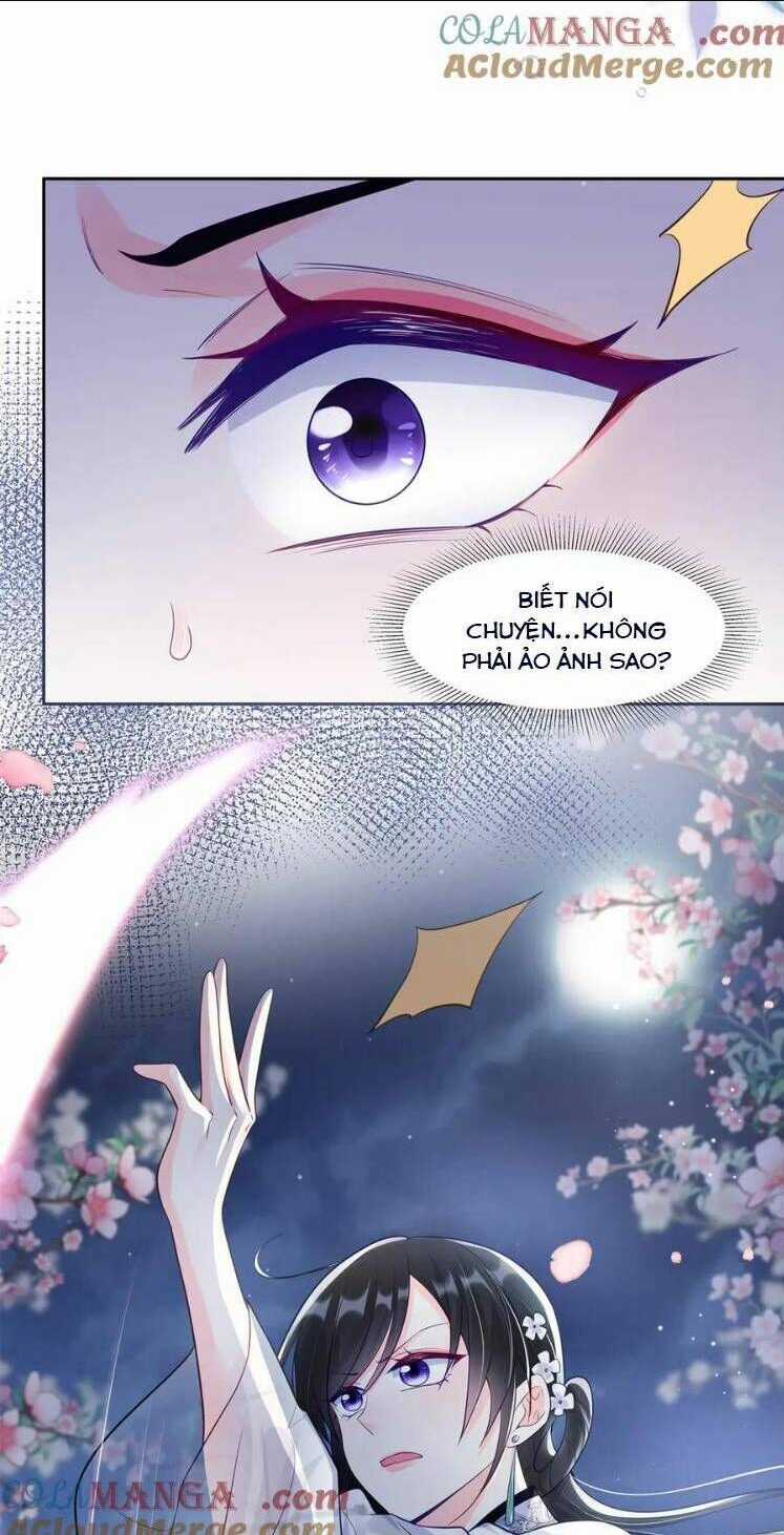 Lão Tổ Tông Vừa Xinh Vừa Ngầu Chapter 78 trang 21