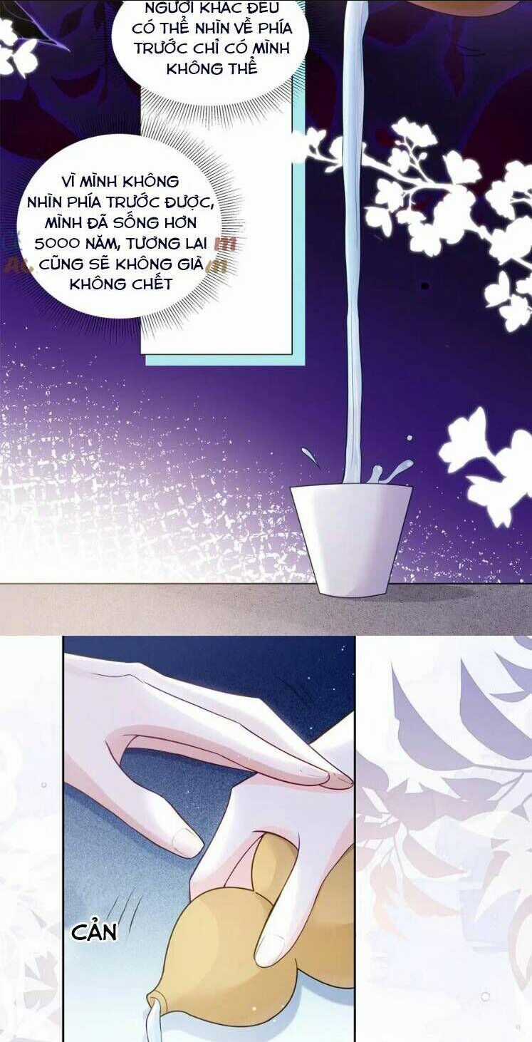 Lão Tổ Tông Vừa Xinh Vừa Ngầu Chapter 78 trang 35
