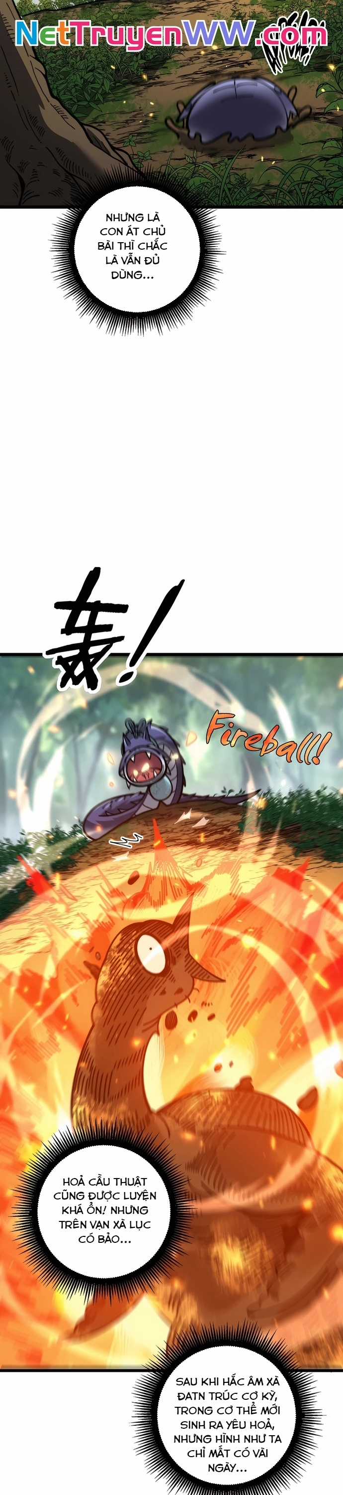 Lão Xà Tu Tiên Truyện Chapter 10 trang 26