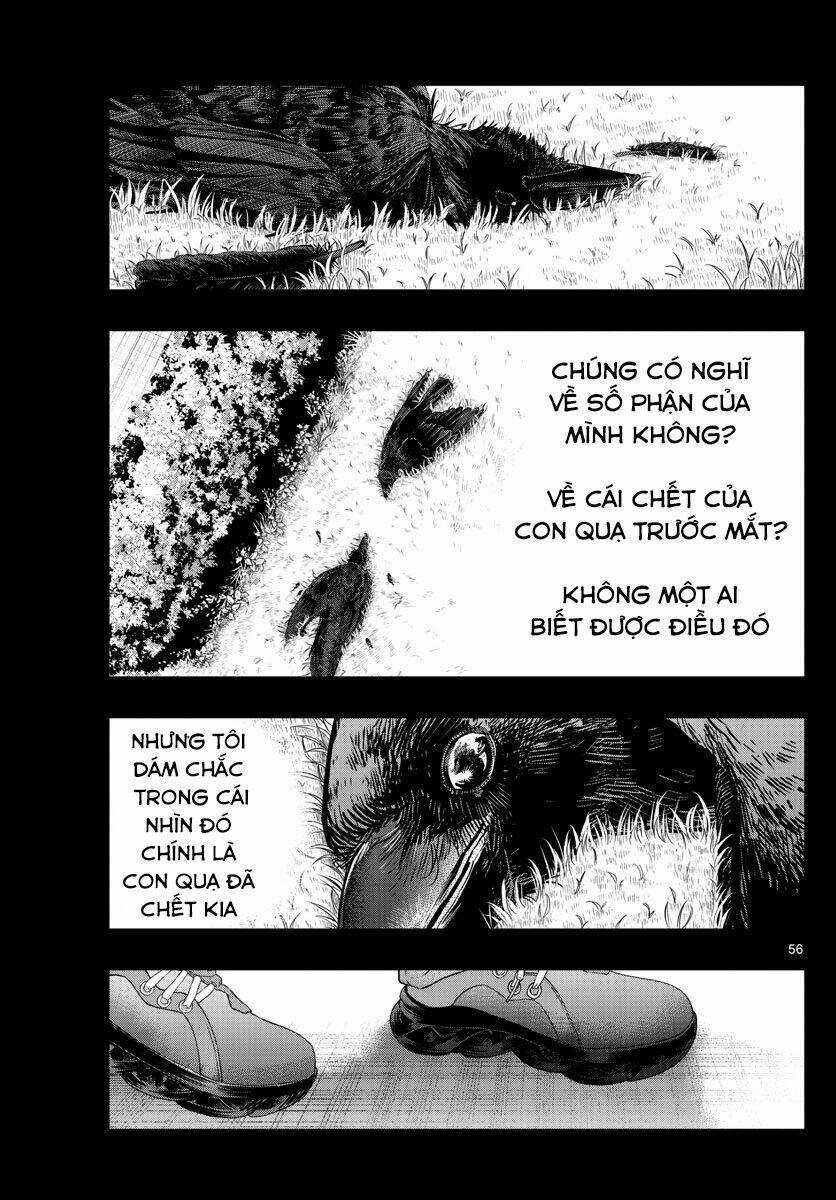 Last Karte Chapter 1 trang 49