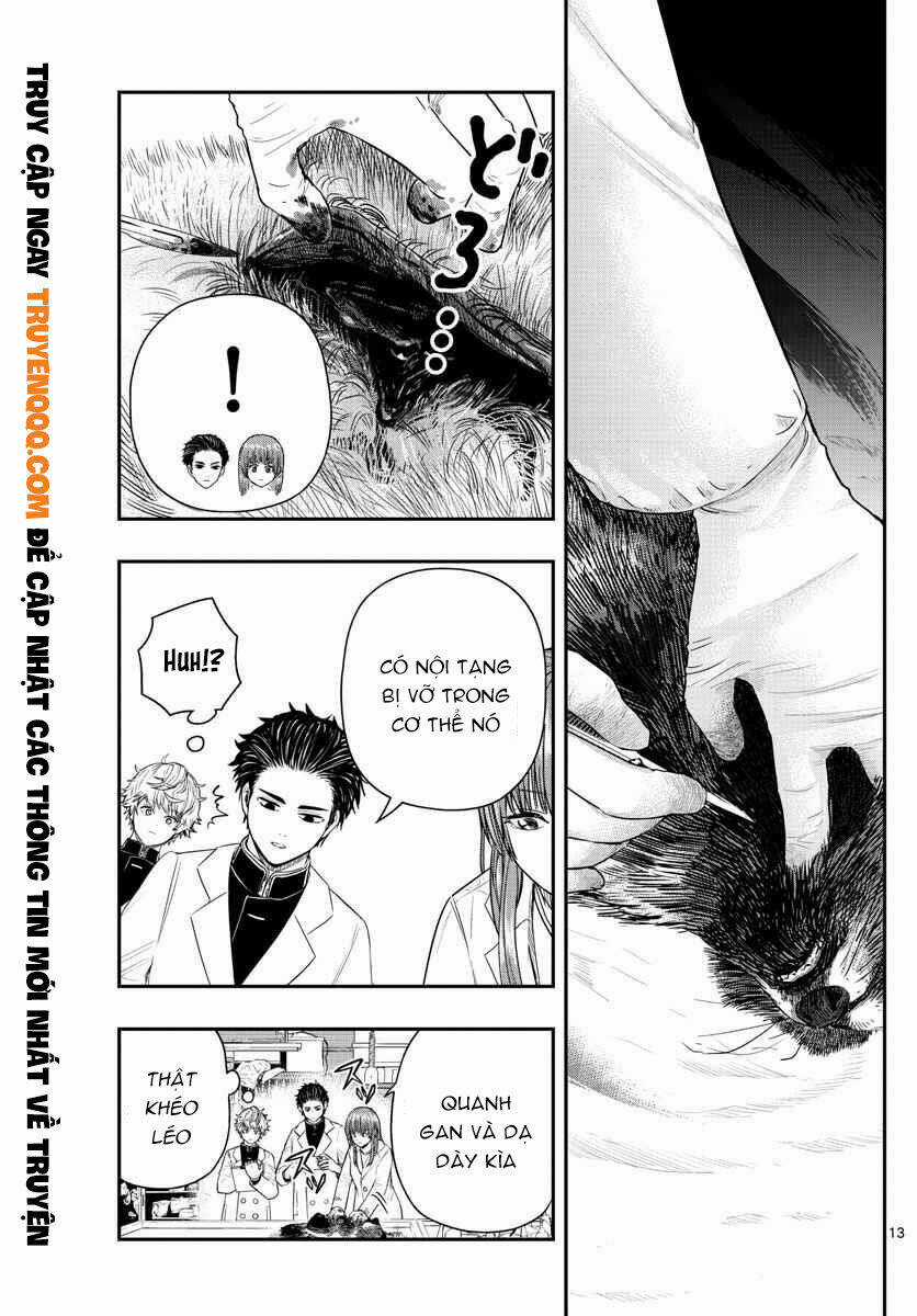 Last Karte Chapter 2 trang 13