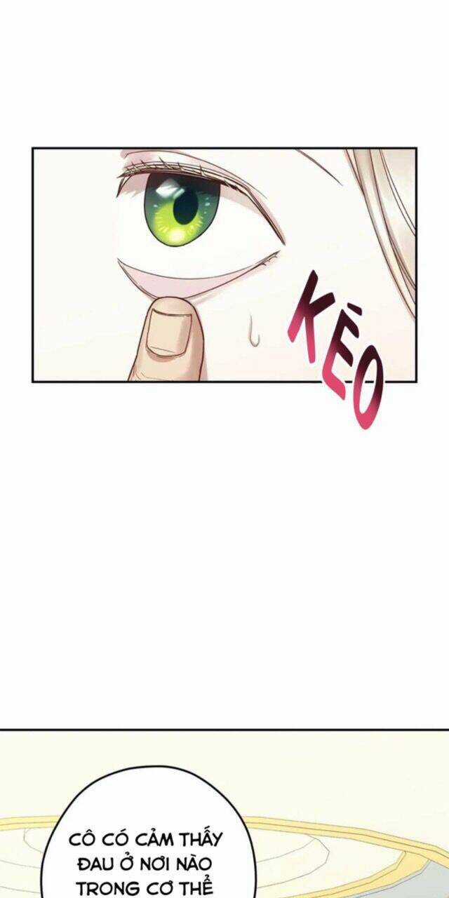 Lâu Đài Hoa Hồng Trắng Của Elise Chapter 6 trang 3