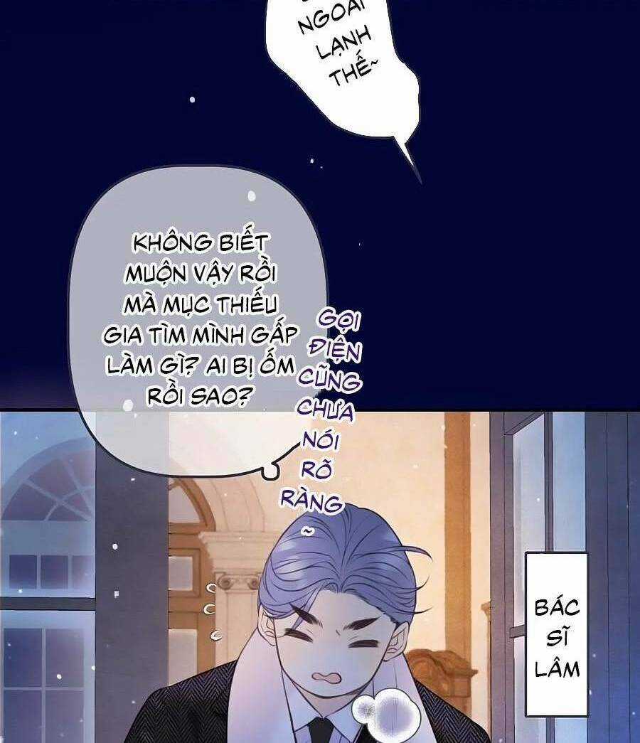 Lâu Tiểu Thư, Lại Gặp Nhau Rồi Chapter 135 trang 10