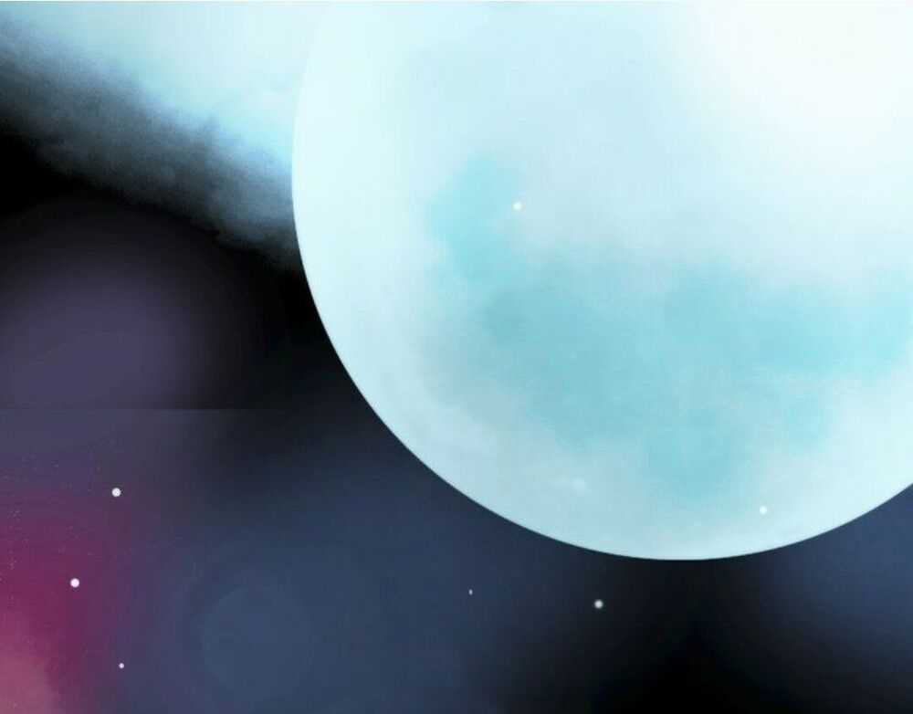 Lấy Một Kẻ Hèn Nhát Về Làm Chồng Chapter 1 trang 2