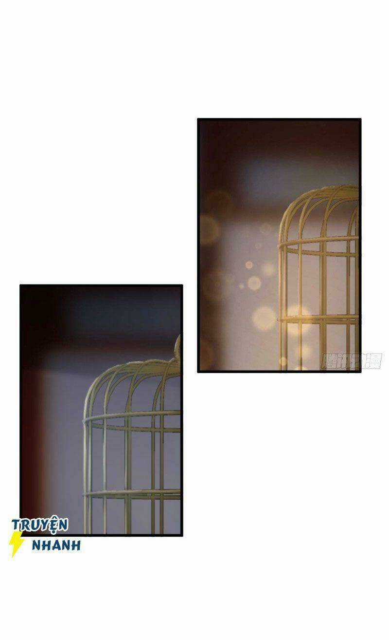 Lễ Băng Nhạc Phôi Chi Dạ Chapter 13 trang 10