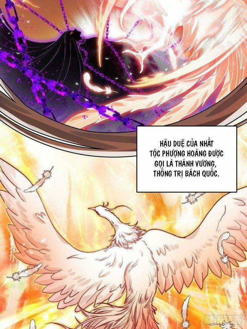 Lễ Băng Nhạc Phôi Chi Dạ Chapter 26 trang 33