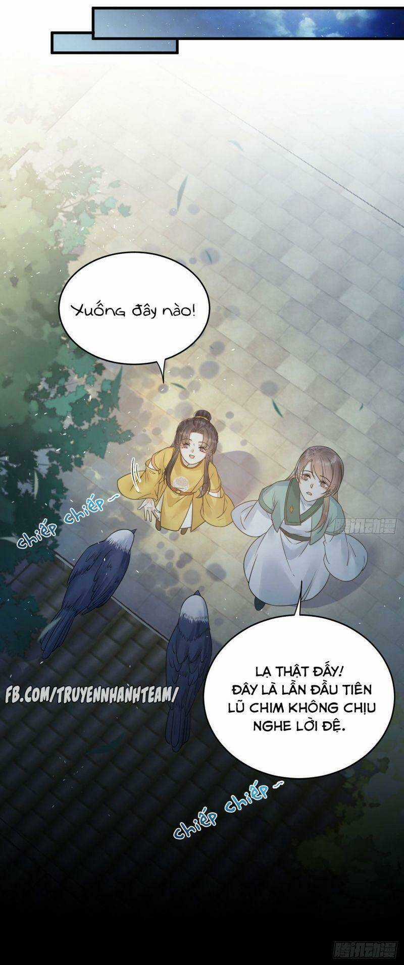 Lễ Băng Nhạc Phôi Chi Dạ Chapter 51 trang 10