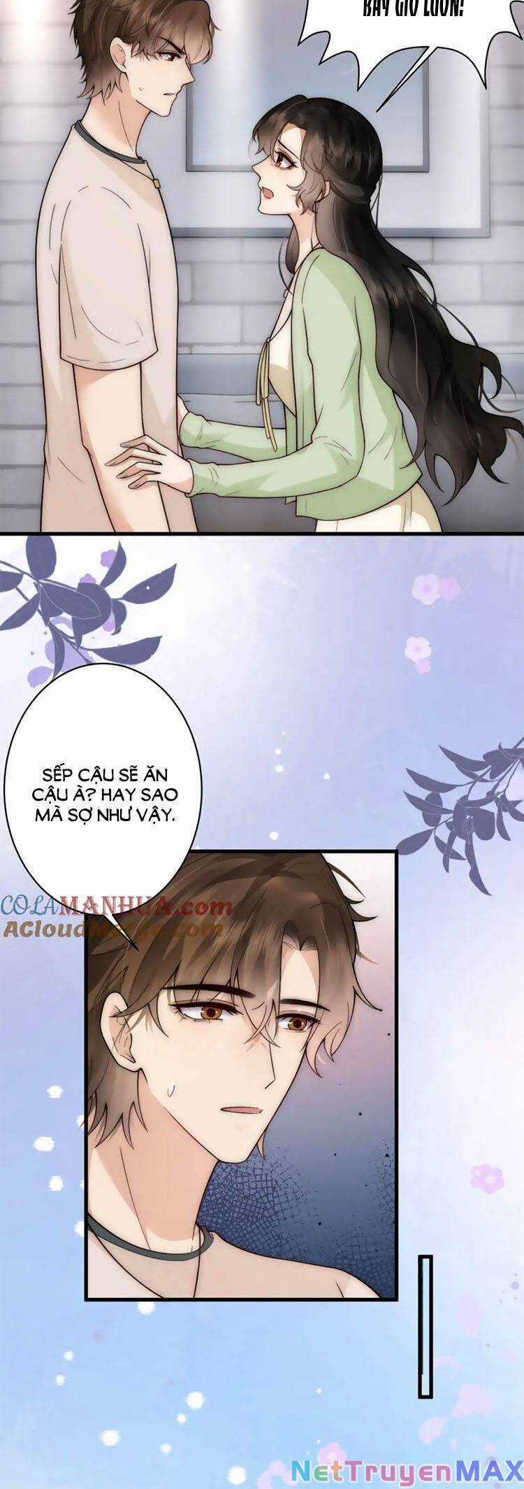Lên Nhầm Giường Tổng Tài , Được Chồng Như Ý Chapter 22 trang 1