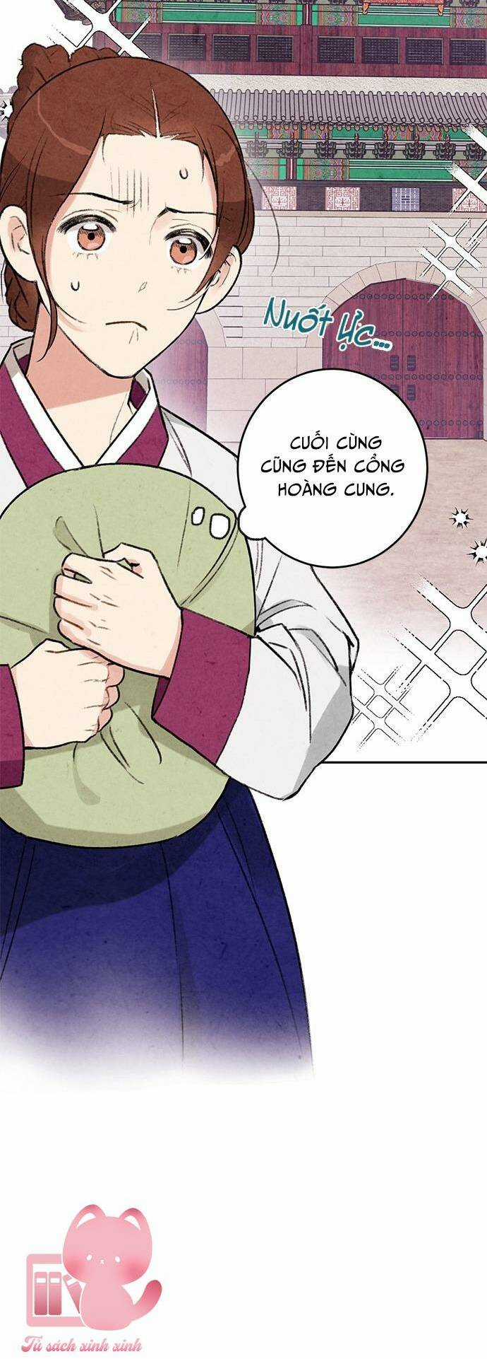 Lệnh Cấm Hôn Của Hoàng Đế Bệ Hạ Chapter 10 trang 38