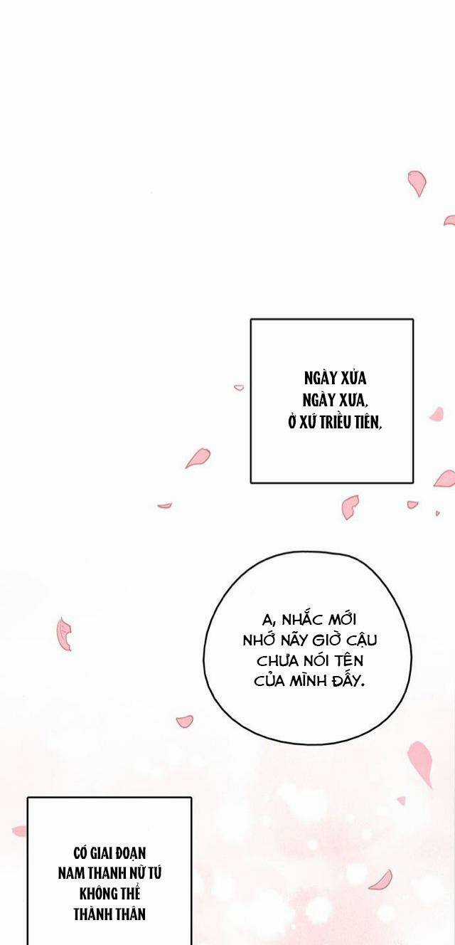 Lệnh Cấm Hôn Của Hoàng Đế Bệ Hạ Chapter 103 trang 63