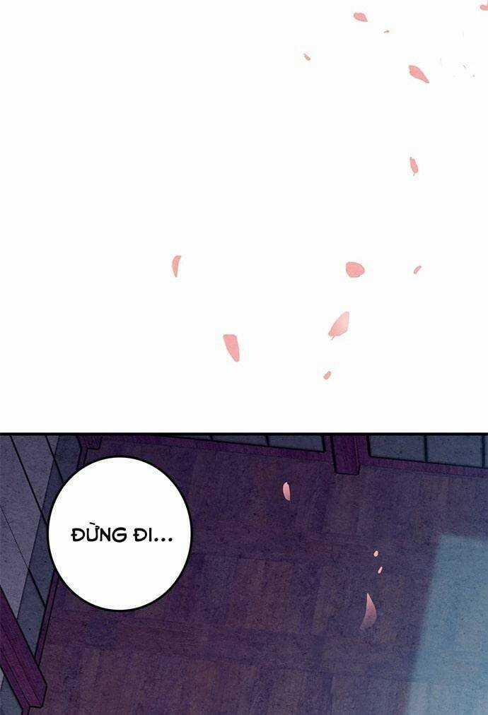 Lệnh Cấm Hôn Của Hoàng Đế Bệ Hạ Chapter 17 trang 23